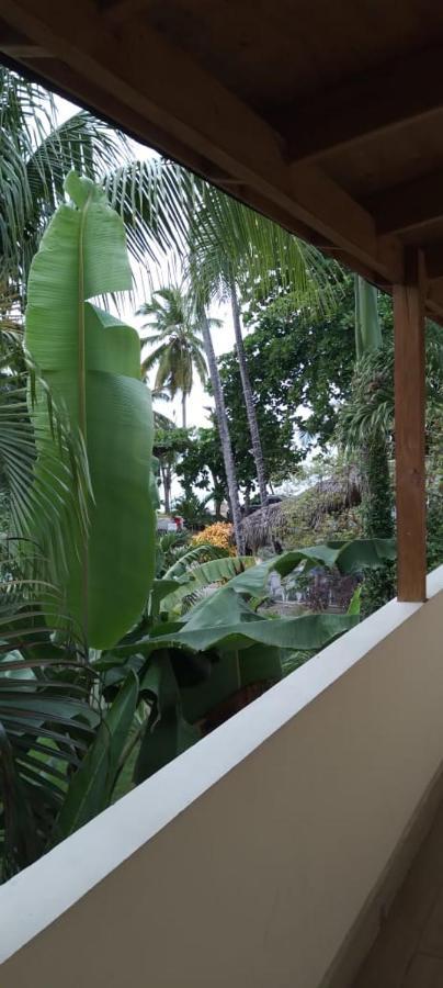 Guest House My Way Las Terrenas Luaran gambar